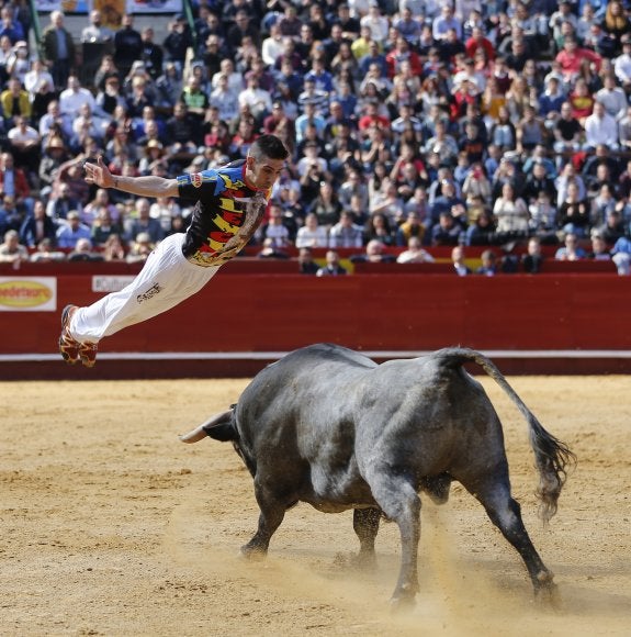 Quiebros, recortes, saltos. así hacen disfrutar los más valientes recortadores a la afición. El concurso celebrado el año pasado logró el cartel de 'No hay billetes'. :: arjona