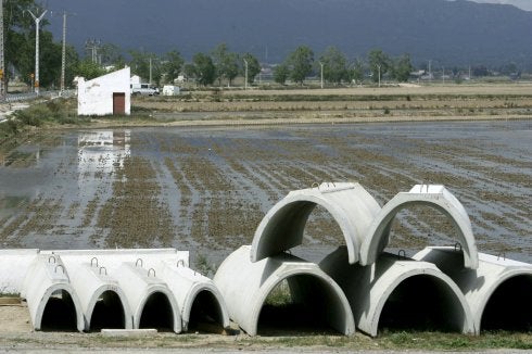 Inundación del Ebro en el delta. 