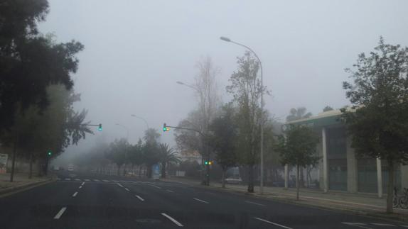 Niebla junto al viejo cauce del Turia. No se ven los edificios de la avenida Manuel de Falla. 
