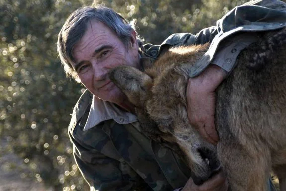 Marcos Rodríguez Pantoja abraza a uno de los lobos del rodaje de 'Entre lobos' (2010). 