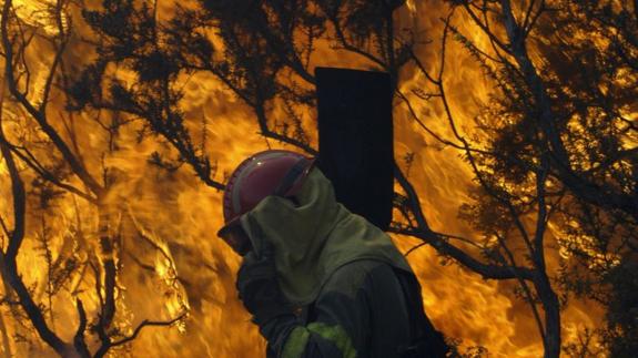 Bombero forestal trabajando en un incendio.