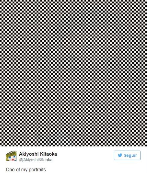 ¿Ves el retrato de un hombre en esta imagen?