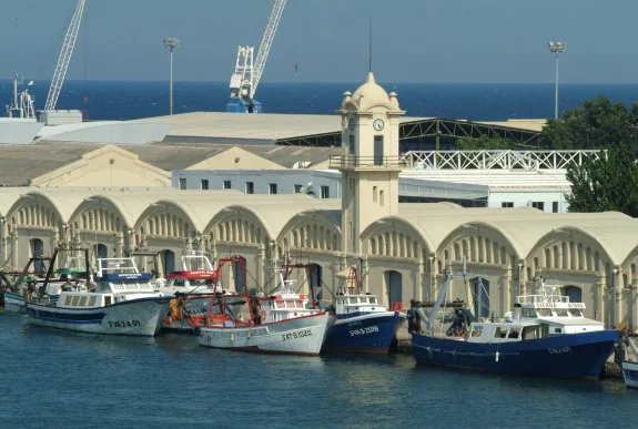 Zona de tinglados del puerto de Gandia desde donde zarparán los ferris de Trasmediterránea rumbo a las Islas Baleares. :: lp