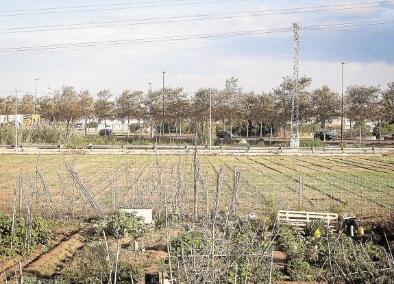 Carcaixent apuesta por los huertos urbanos y la agricultura ecológica