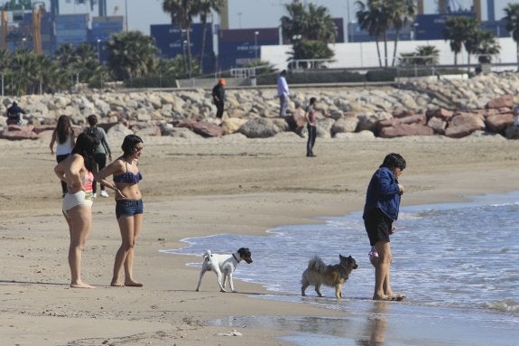 Playa de Pinedo, sin la zona acotada para perros. 