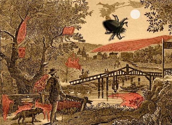 Solución | ¿Puedes encontrar los 12 objetos ocultos en el paisaje?