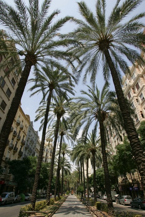 Más de la mitad de los proyectos vecinales de Valencia de 2016 están sin ejecutar