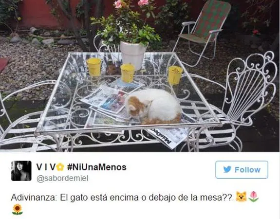 ¿El gato está encima o debajo de la mesa?