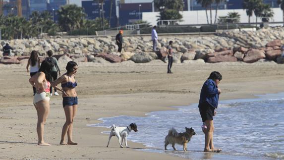 Hosteleros y vecinos exigen el traslado de la playa de perros