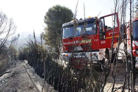 Una dotación de bomberos trabaja en la extinción de los incendios de mayo de 2015 en Pego. :: T. Clavo