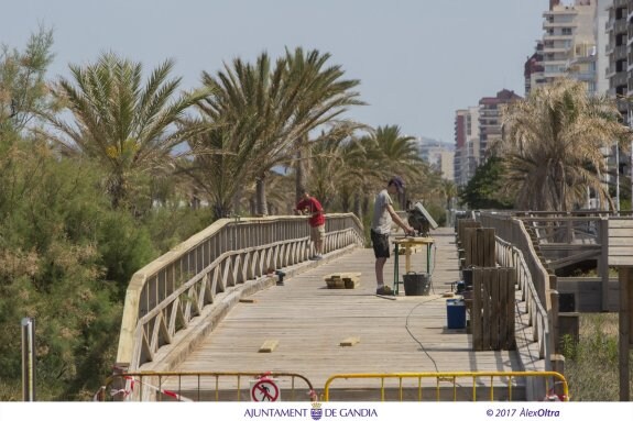 Un grupo de operarios trabaja en la mejora de la Senda Azul de la playa de Gandia. :: àlex oltra