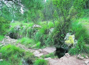 La Font de la Sangonera está inmersa en un paraje con gran vegetación y agua.  ::
Ò.M.