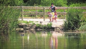 El Centro Español de Humedales cierra la sede en el marjal de Gandia para reducir costes