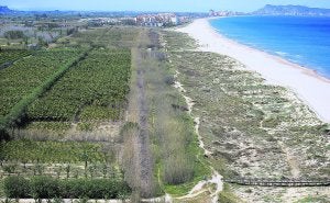 Gandia y Xeraco proyectan enlazar las playas con una pasarela elevada sobre l'Ahuir
