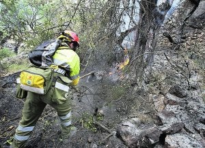 El incendio que arrasó 1.350 hectáreas fue intencionado
