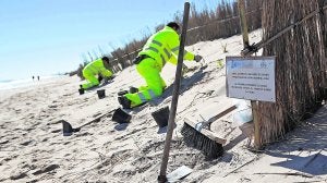 Los operarios dieron ayer los últimos retoques a las dunas de El Saler.   /Manuel Bruque