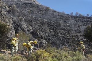 Los brigadistas supervisan el terreno quemado por el incendio originado en Barx el domingo por la tarde . ::                             JUANTXO RIBES