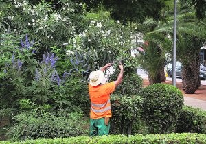 Un operario de la empresa pública Gestión y Servicios de Paterna, en un jardín del municipio. ::
LP
