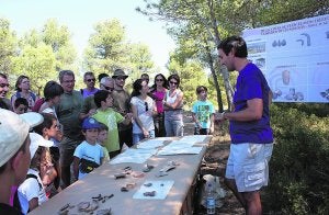 Los íberos de La Bastida de Moixent ya hacían buen vino