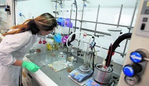 Una investigadora trabaja en uno de los laboratorios del centro Príncipe Felipe. ::                             JESÚS SIGNES