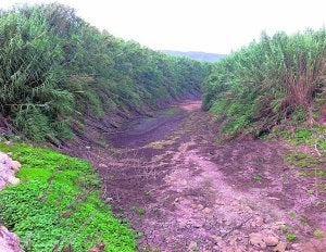 Cauce del río Vaca, a su paso por el término de Tavernes de la Valldigna. ::
LP