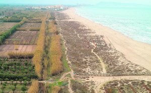 Vista general del cordón dunar de la playa virgen de l'Ahuir de Gandia. ::                             JUANTXO RIBES