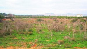 De campo de golf a huerto urbano