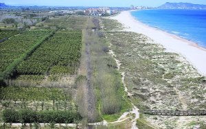 Playa virgen de l'Auir de Gandia. / LP