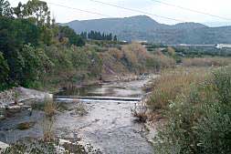 Los márgenes del río Serpis que recorren numerosos municipios de la Safor están declarados como Espacio Protegido por su alto valor ecológico.