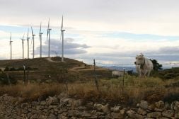 Unas vacas pacen a poca distancia de uno de los parques eólicos instalados en Morella.