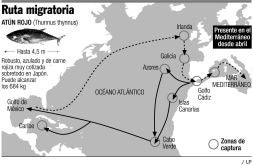 Un observador del Gobierno impide a siete barcos franceses descargar atunes en Xàbia