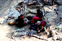 Varios técnicos trabajan en una excavación de dinosaurios cerca de Morella (Castellón). /Jordi Maura