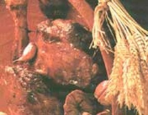 Acabado del plato / LV