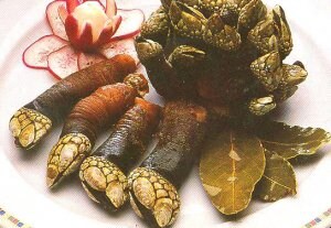 Percebes hervidos