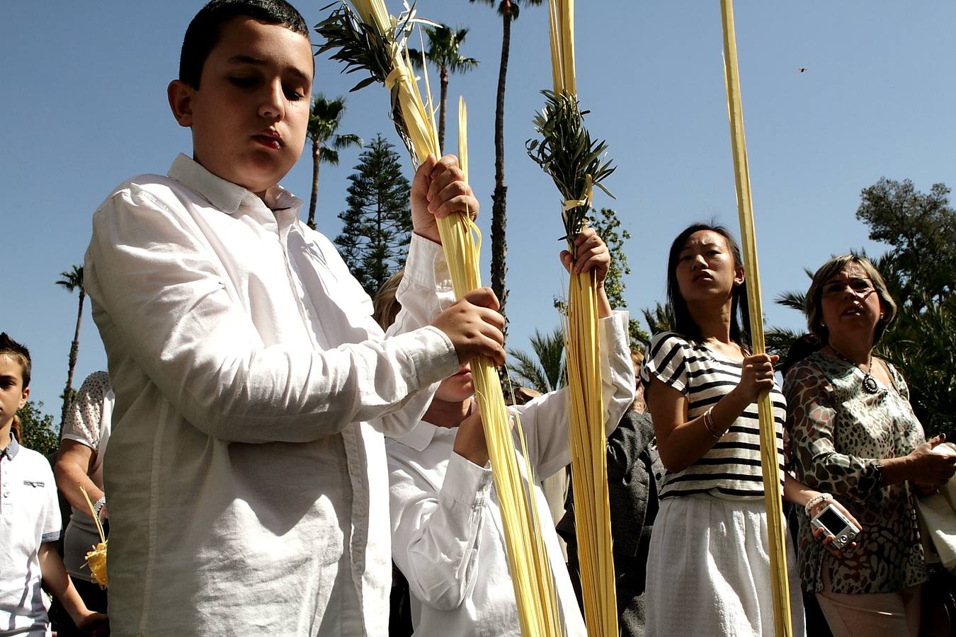 Domingo de Ramos en Elche