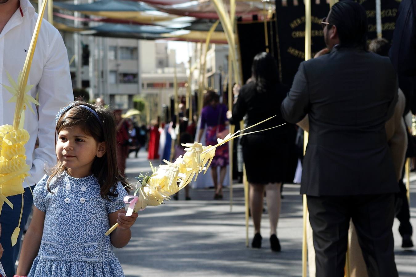 Domingo de Ramos en Elche