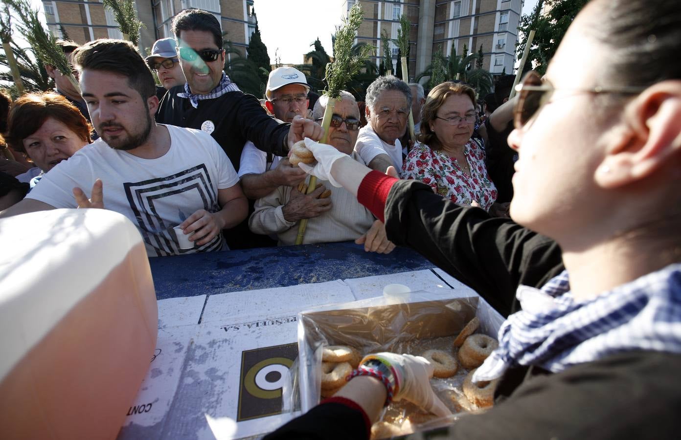 Romería de la Santa Faz de 2014 (I)