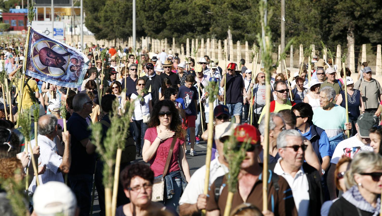 Romería de la Santa Faz de 2014 (I)