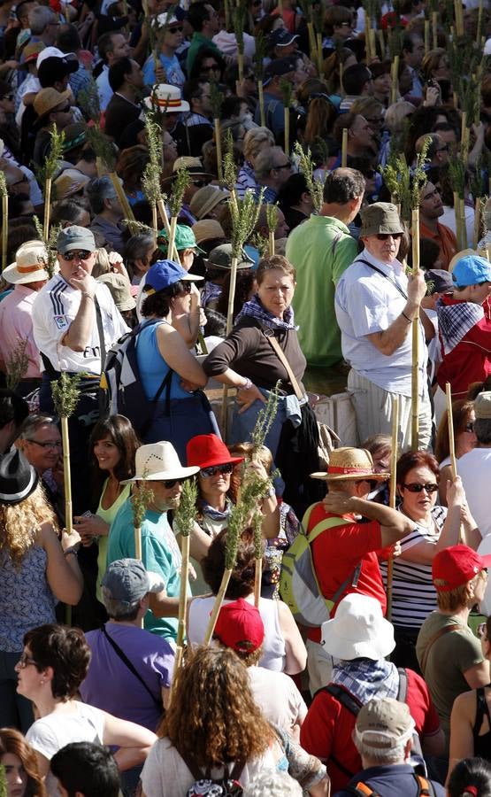 Romería de la Santa Faz de 2014 (I)