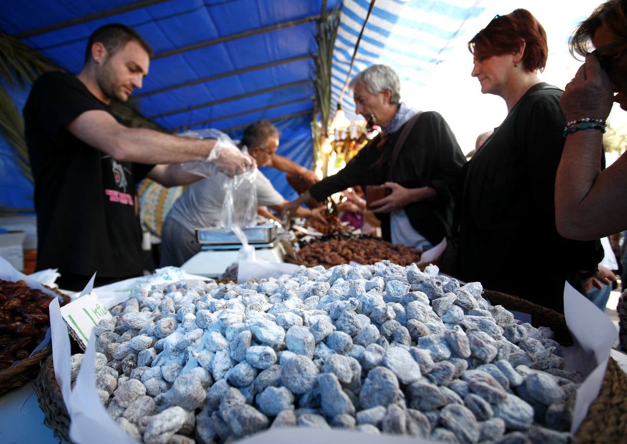 Romería de la Santa Faz de 2014 (I)