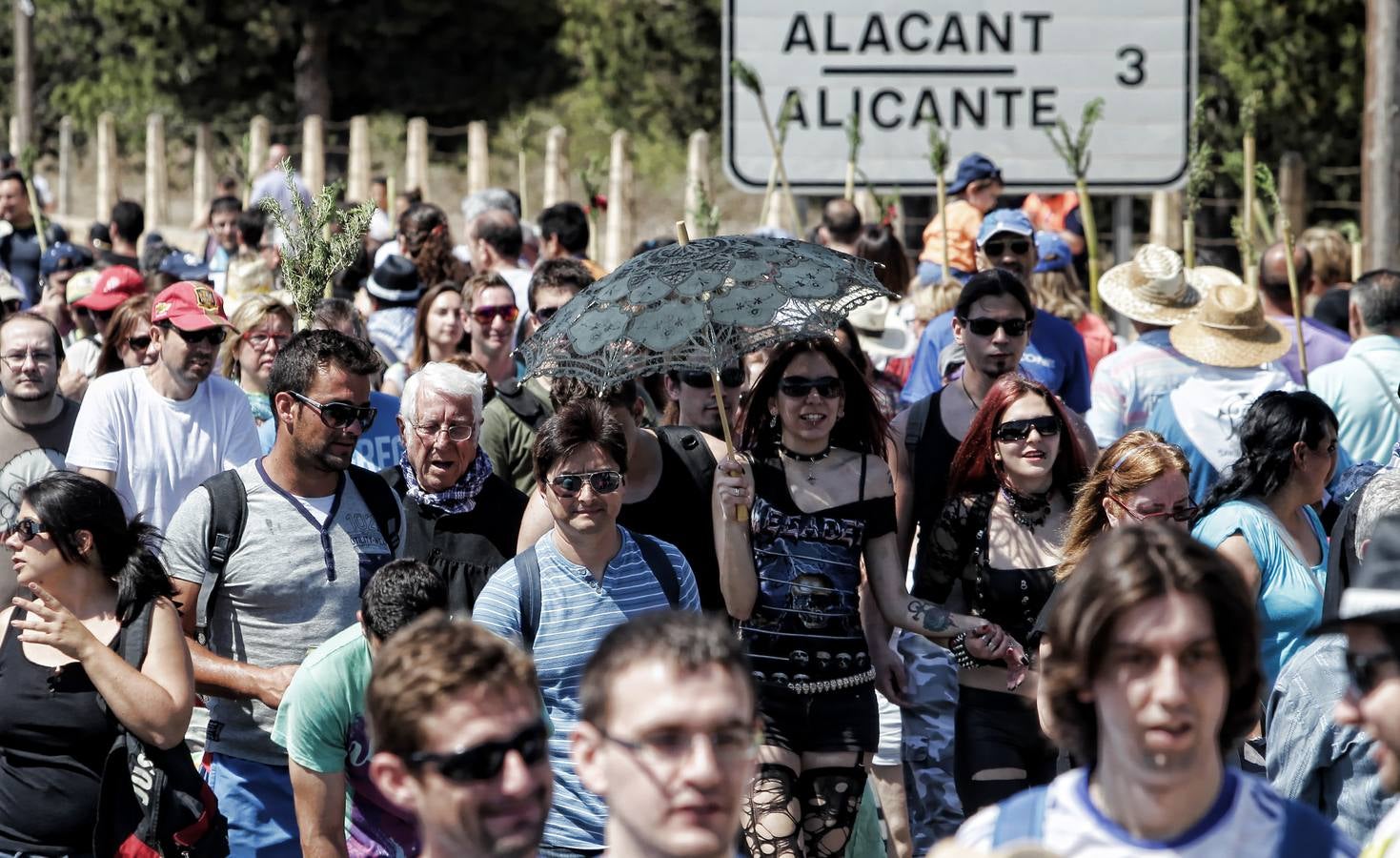 Romería de la Santa Faz de 2014 (I)