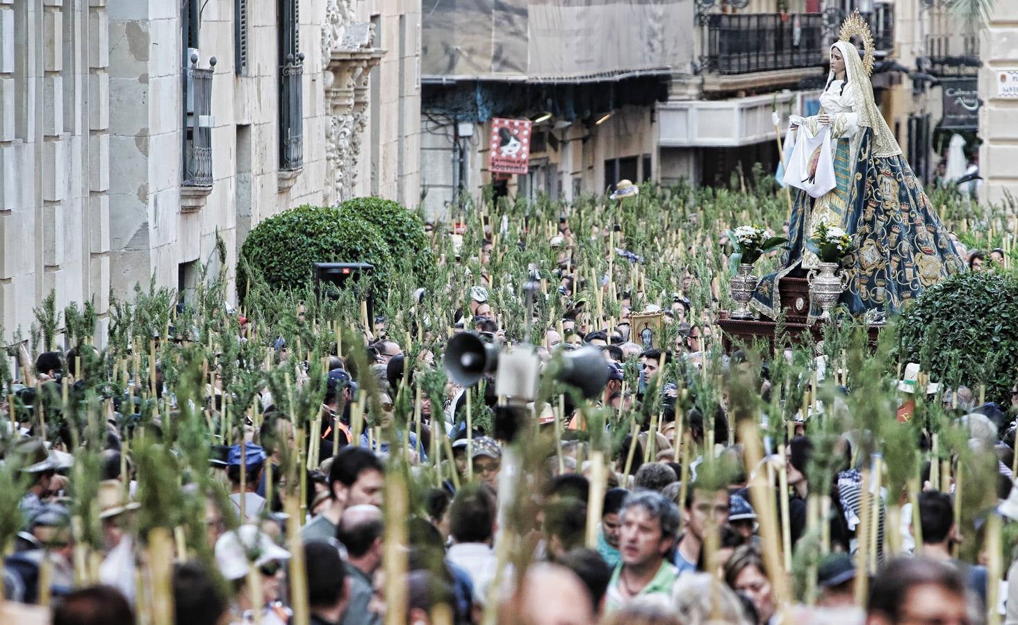 Romería de la Santa Faz de 2014 (II)