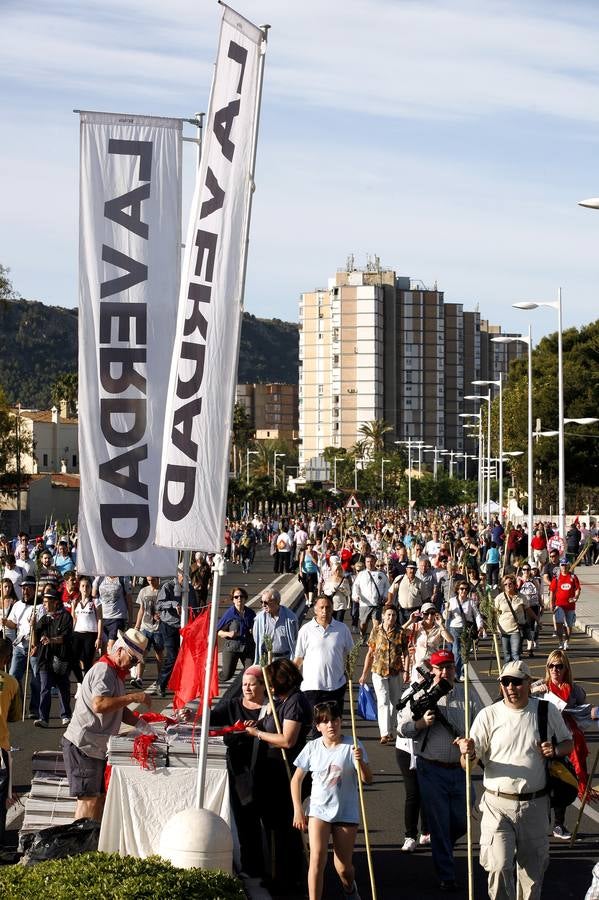 Romería de la Santa Faz de 2014 (II)