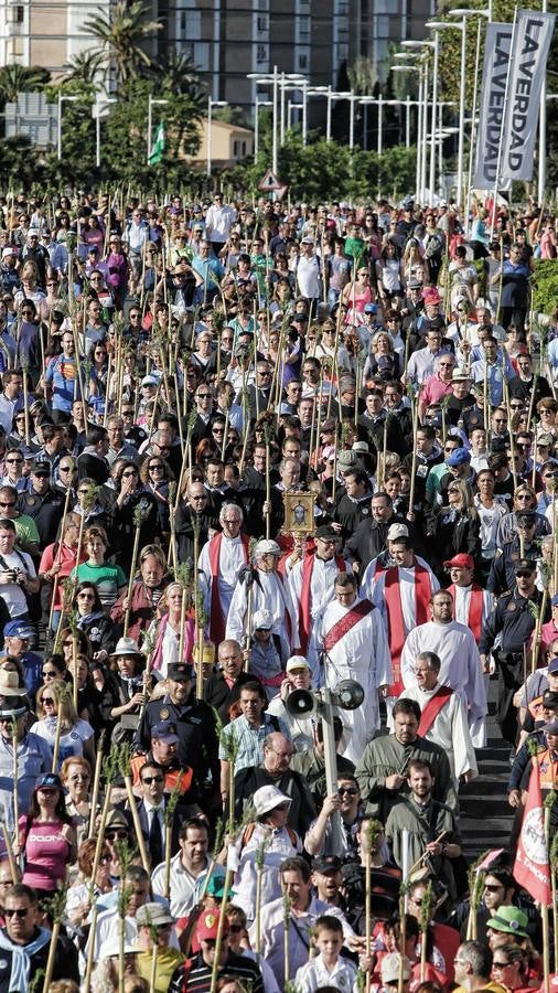 Romería de la Santa Faz de 2014 (II)