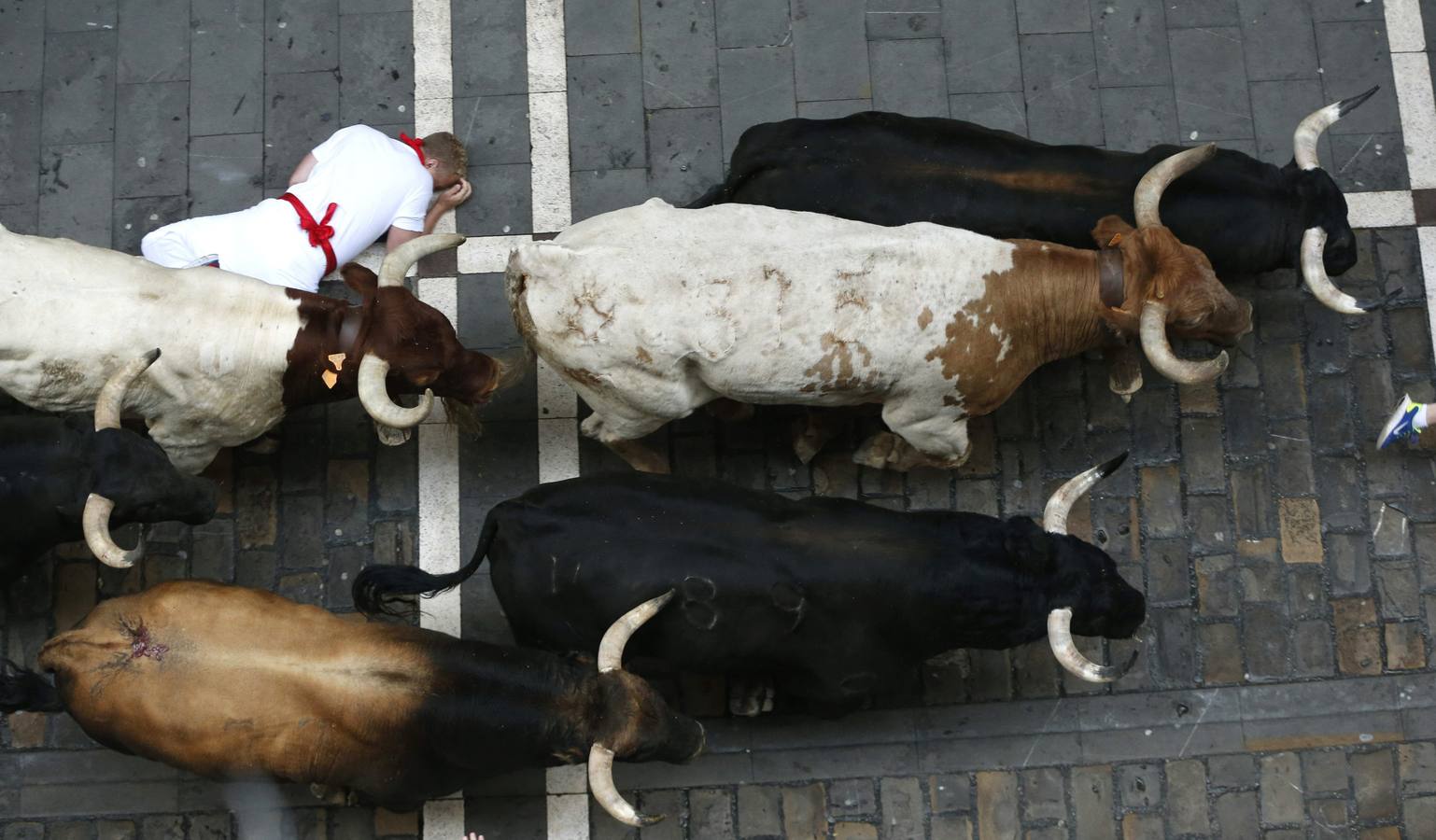 Carrera rápida y muy peligrosa. Los toros de la ganadería salmantina de Garcigrande han creado mucho peligro.