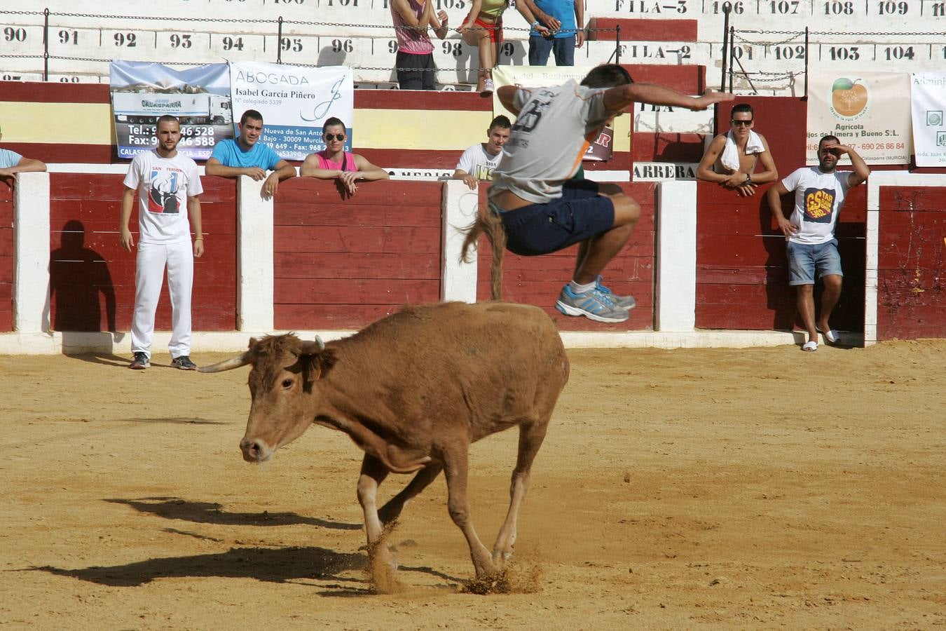 Primer encierro limpio en Calasparra