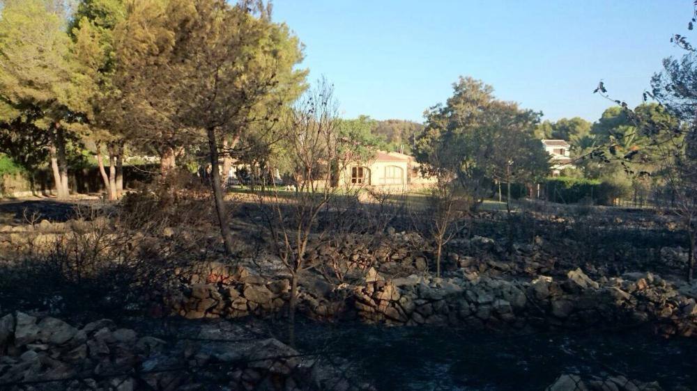 El rastro que ha dejado el incendio en el Montgó