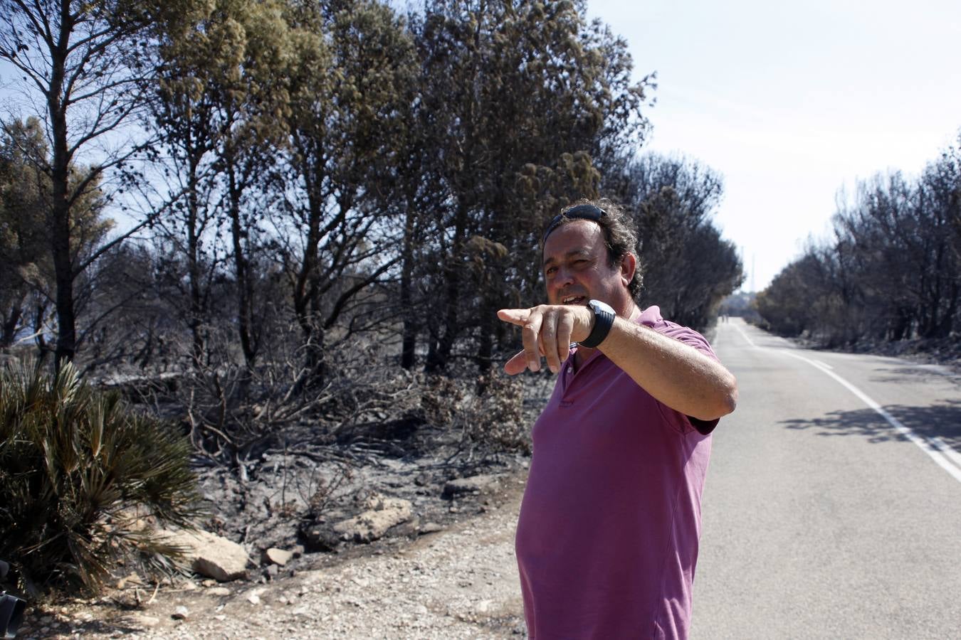 Tareas de limpieza tras el incendio forestal en el parque natural del Montgó