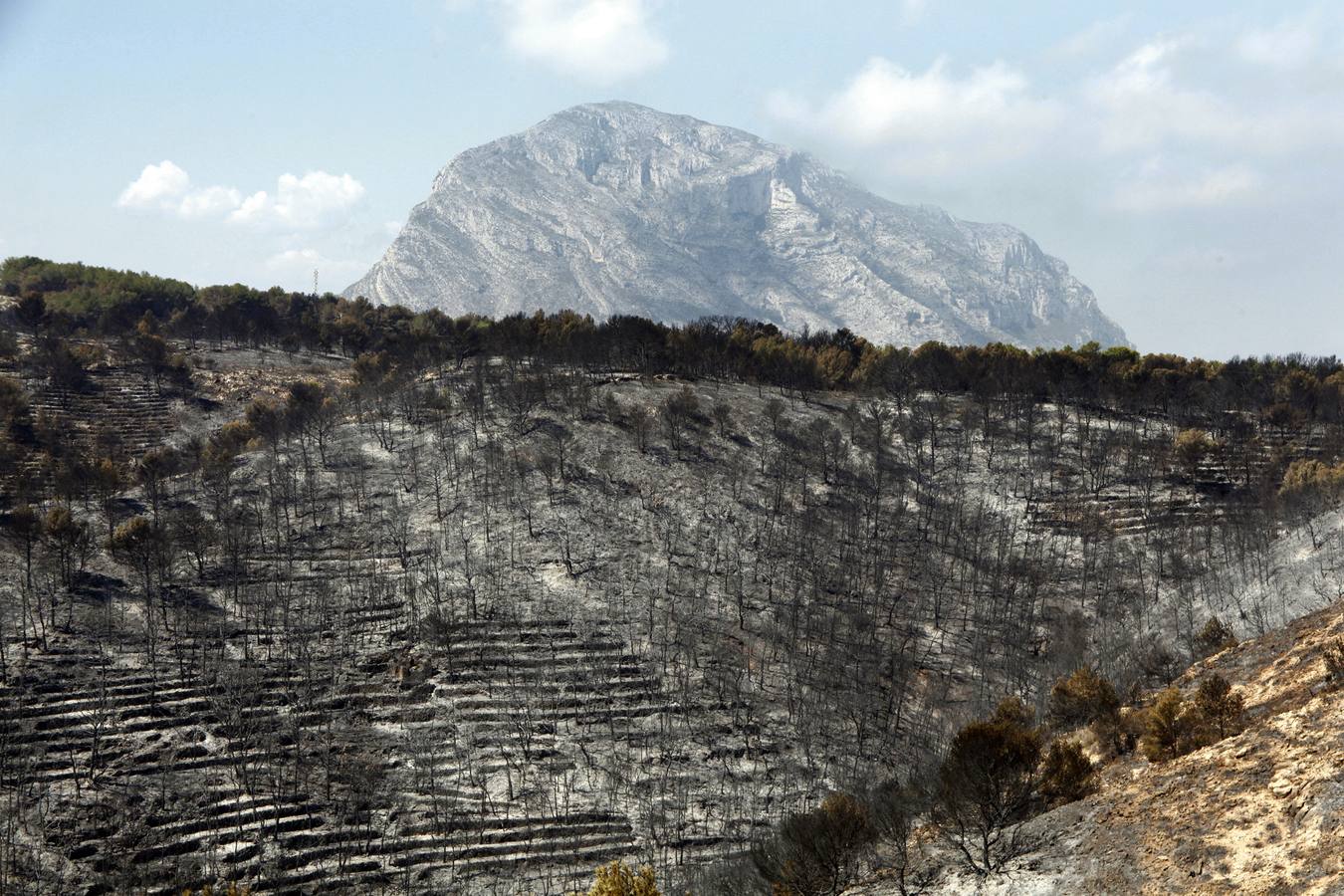 Tareas de limpieza tras el incendio forestal en el parque natural del Montgó