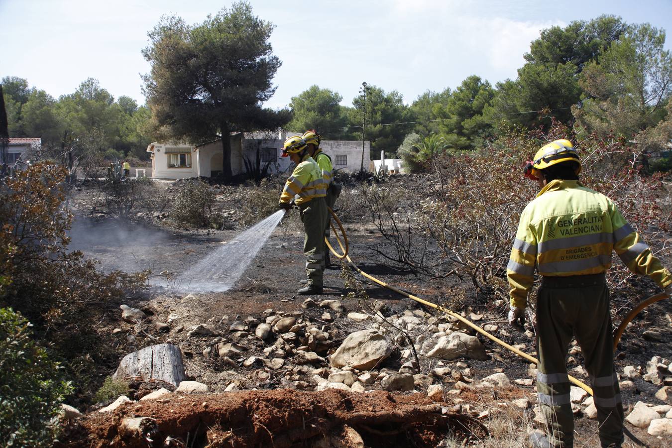 Tareas de limpieza tras el incendio forestal en el parque natural del Montgó